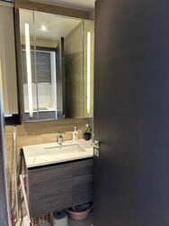 Sims Urban Oasis (D14), Condominium #503160821